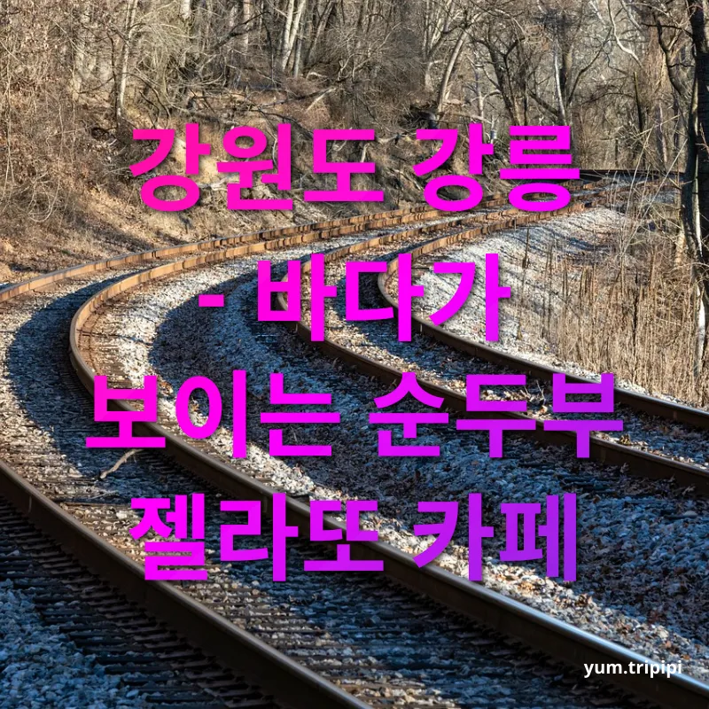 가을 기차여행 - 아름다운 안목해변 가을 기차여행 아름다운 안목해변 관련 이미지