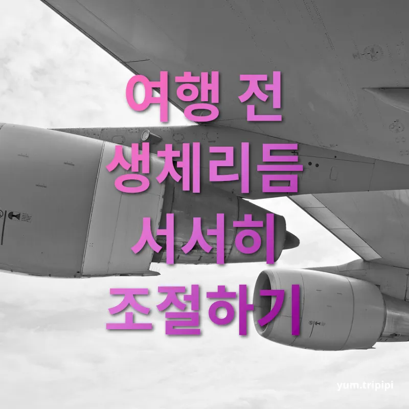 시차 적응 - 시간 차이에 맞춰 수면 습관 조정하기 시차 적응 시간 차이에 맞춰 수면 습관 조정하기 관련 이미지