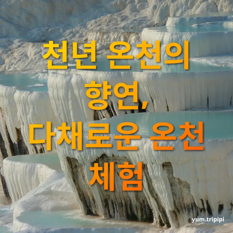 자연 온천 여행 - 온천 종류와 이용 방법 자연 온천 여행 온천 종류와 이용 방법 관련 이미지