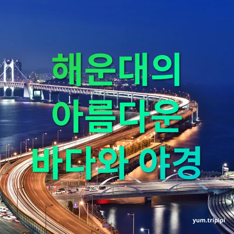 부산 여행 - 해운대의 매력 부산 여행 해운대의 매력 관련 이미지