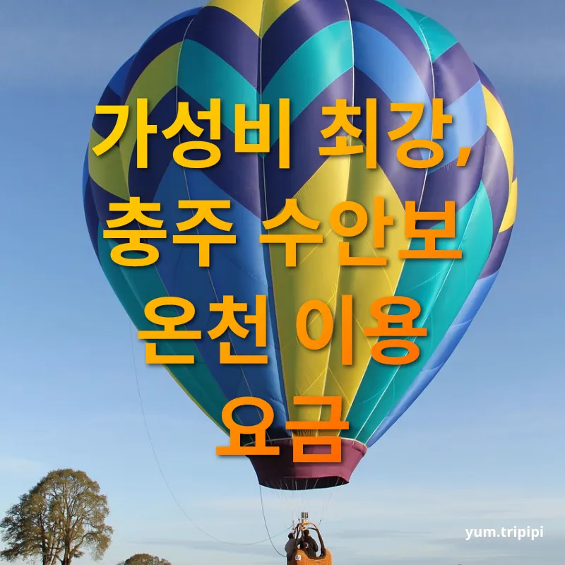 자연 온천 여행 - 가성비 최강, 충주 수안보 온천 이용 요금 자연 온천 여행 가성비 최강, 충주 수안보 온천 이용 요금 관련 이미지
