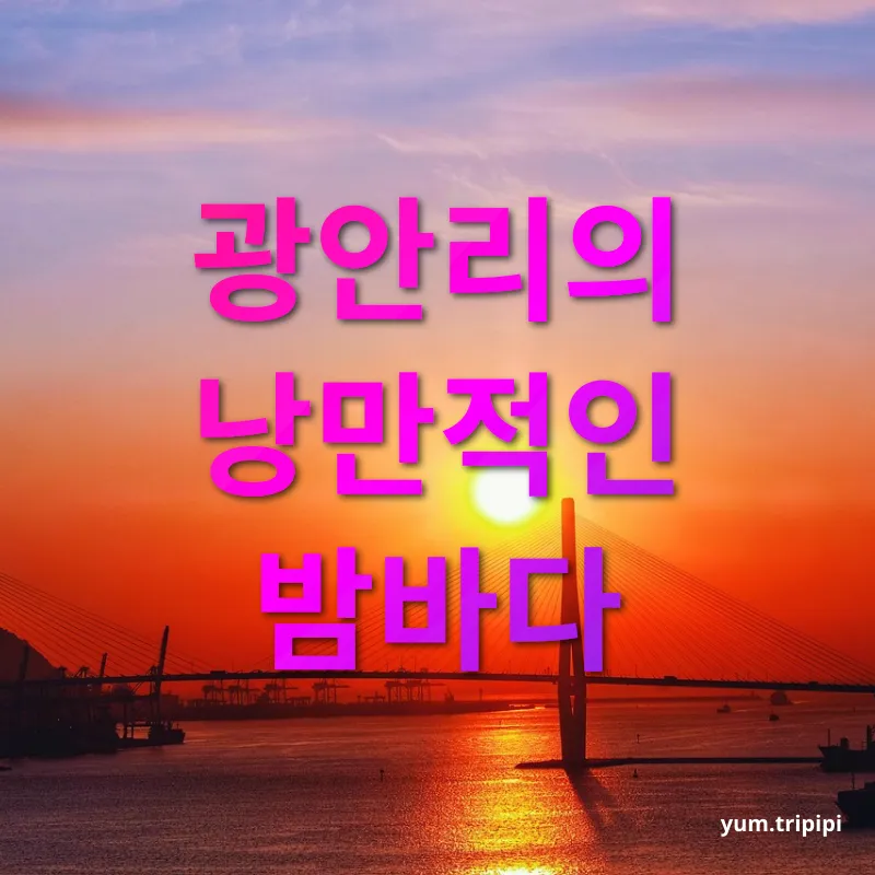 부산 여행 - 광안리의 낭만적인 밤바다 부산 여행 광안리의 낭만적인 밤바다 관련 이미지