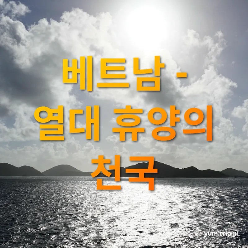 여름 해외여행 베트남 - 열대 휴양의 천국 관련 이미지