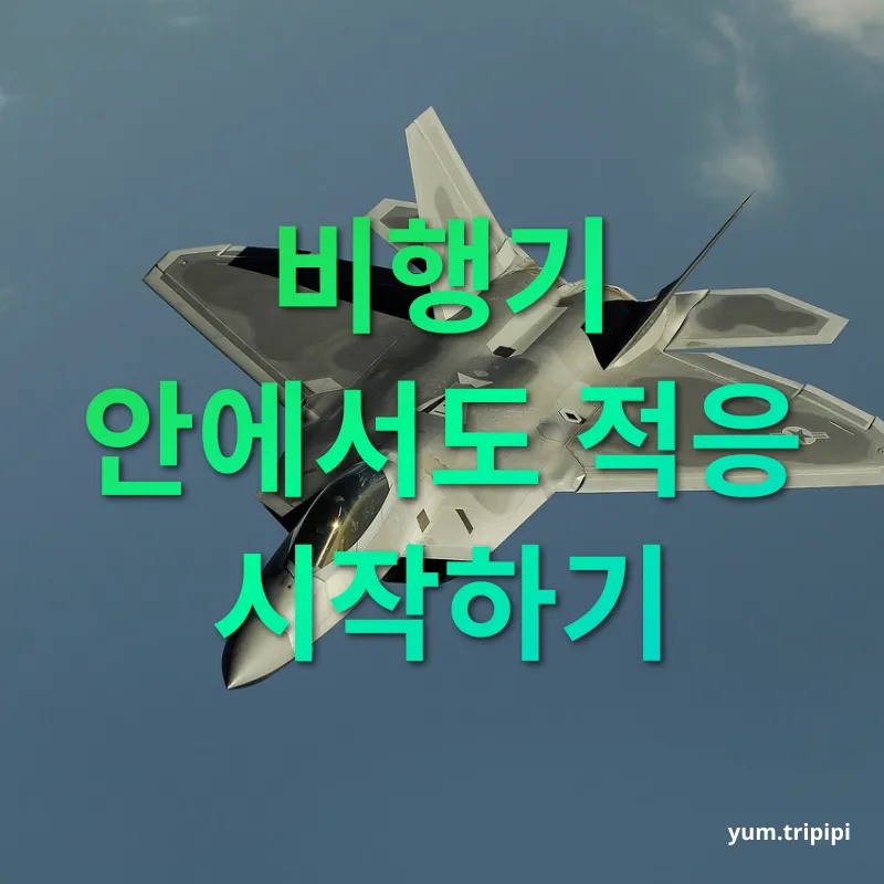 시차 적응 - 비행기 안에서도 적응 시작하기 시차 적응 비행기 안에서도 적응 시작하기 관련 이미지
