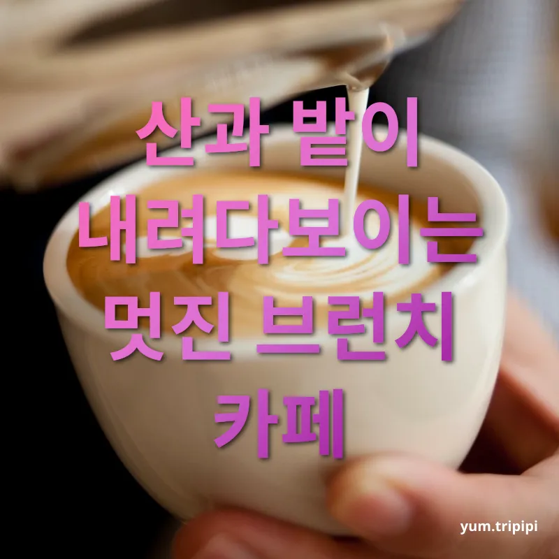 강릉 여행 카페 체험 - 산과 밭이 내려다보이는 멋진 브런치 카페 강릉 여행 카페 체험 산과 밭이 내려다보이는 멋진 브런치 카페 관련 이미지