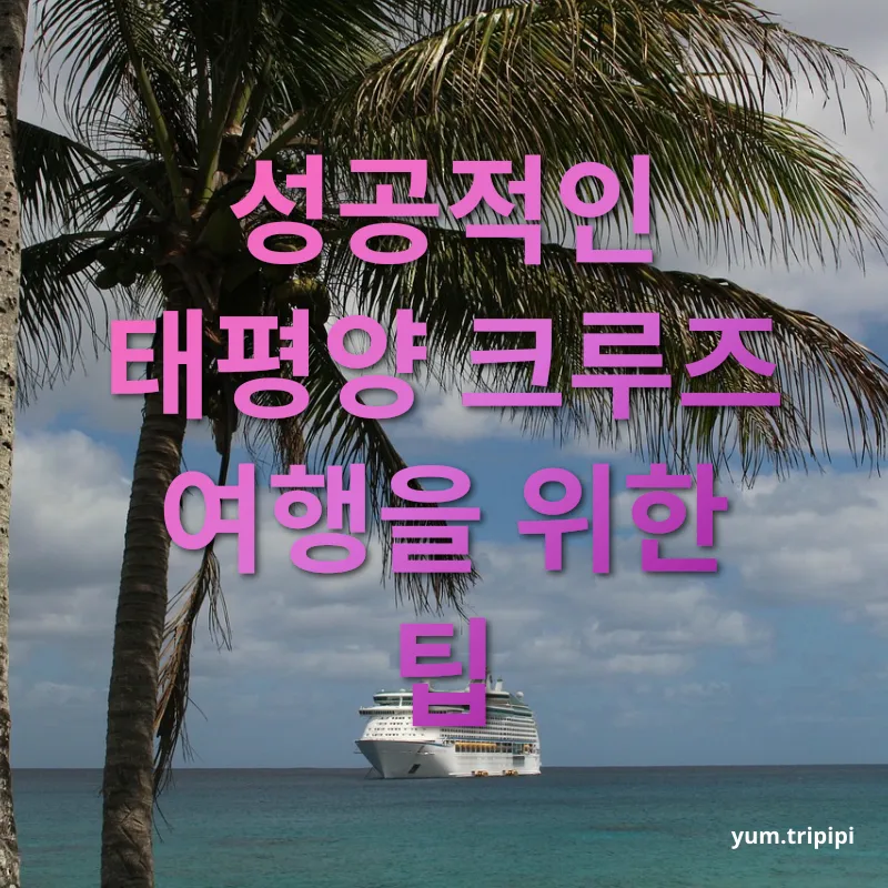 태평양 크루즈 여행 - 성공적인 태평양 크루즈 여행을 위한 팁 태평양 크루즈 여행 성공적인 태평양 크루즈 여행을 위한 팁 관련 이미지