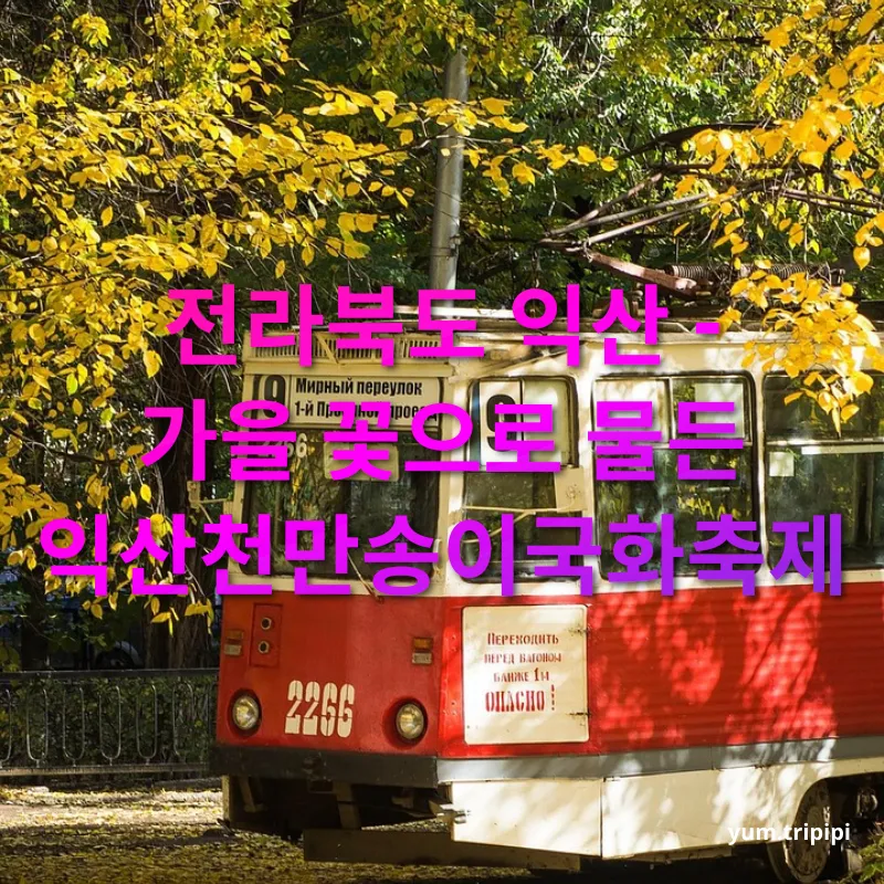 가을 기차여행 - 전라북도 익산 - 가을 꽃으로 물든 익산천만송이국화축제 가을 기차여행 전라북도 익산 - 가을 꽃으로 물든 익산천만송이국화축제 관련 이미지