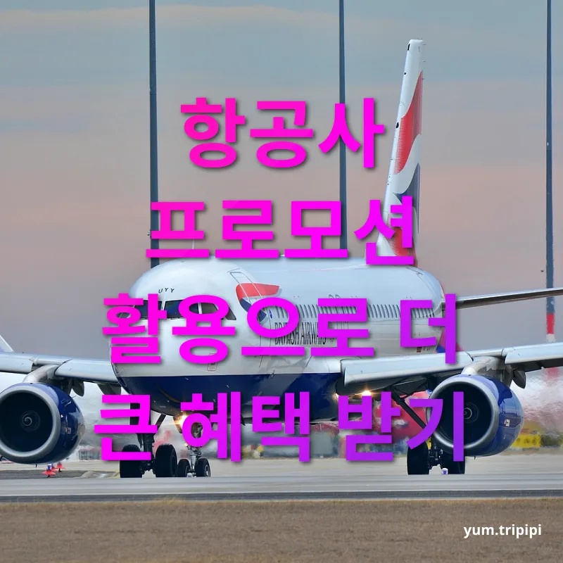 비행기표 싸게 사는 법 항공사 프로모션 활용으로 더 큰 혜택 받기 관련 이미지