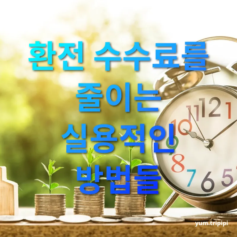 해외여행 환전 - 환전 수수료를 줄이는 실용적인 방법들 해외여행 환전 환전 수수료를 줄이는 실용적인 방법들 관련 이미지