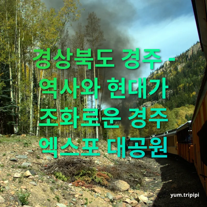 가을 기차여행 - 경상북도 경주 - 역사와 현대가 조화로운 경주 엑스포 대공원 가을 기차여행 경상북도 경주 - 역사와 현대가 조화로운 경주 엑스포 대공원 관련 이미지