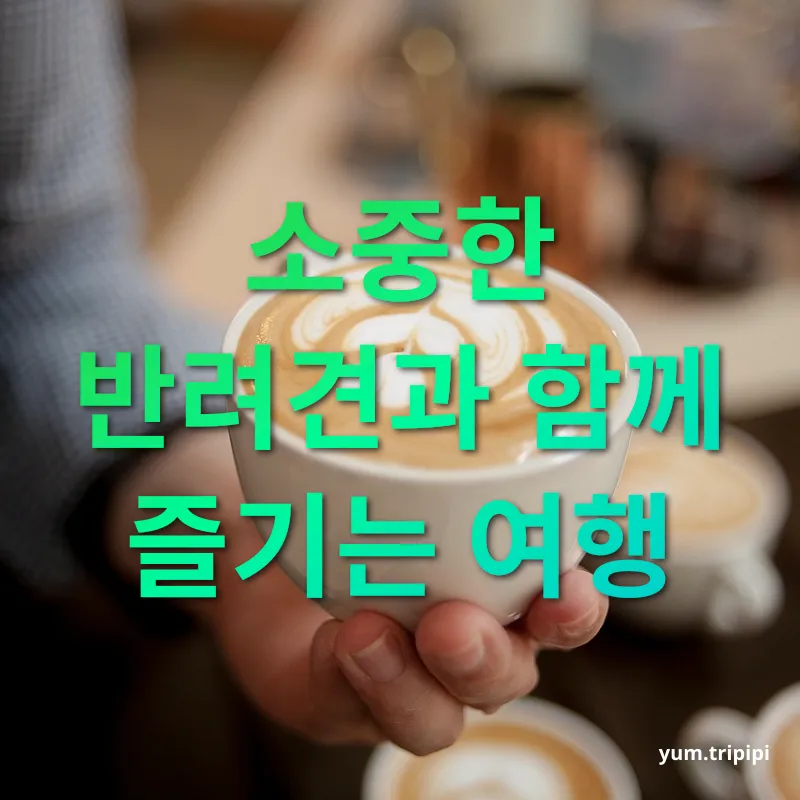 강릉 여행 카페 체험 - 소중한 반려견과 함께 즐기는 여행 강릉 여행 카페 체험 소중한 반려견과 함께 즐기는 여행 관련 이미지