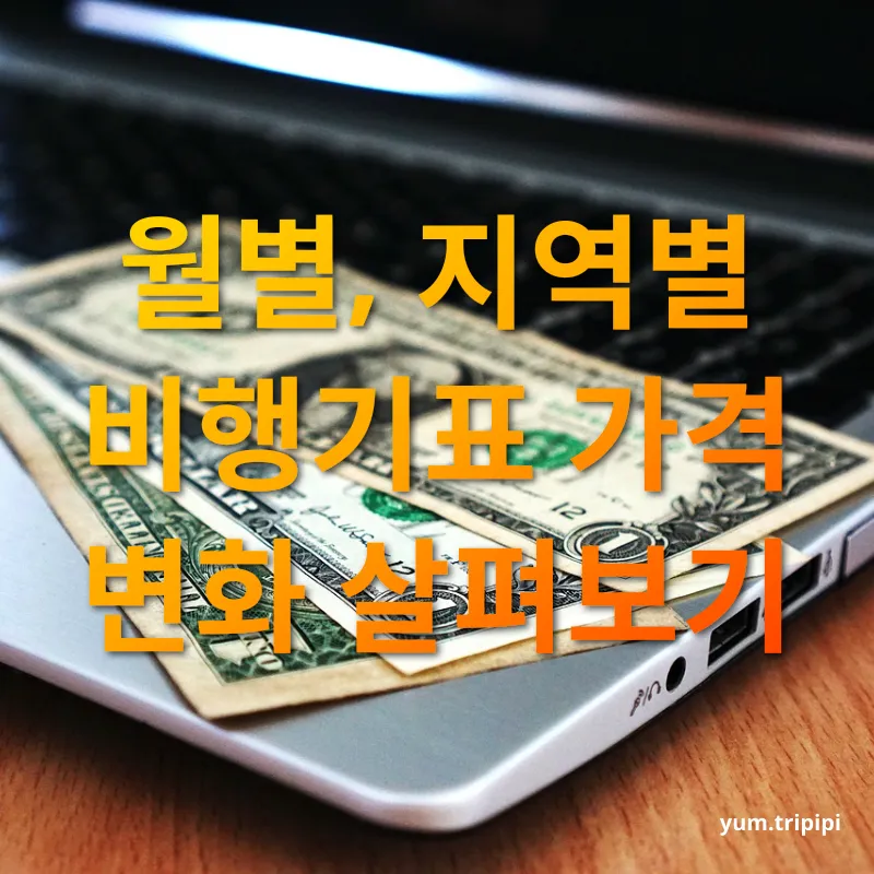 비행기표 싸게 사는 법 월별, 지역별 비행기표 가격 변화 살펴보기 관련 이미지