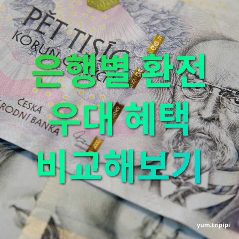 해외여행 환전 - 은행별 환전 우대 혜택 비교해보기 해외여행 환전 은행별 환전 우대 혜택 비교해보기 관련 이미지