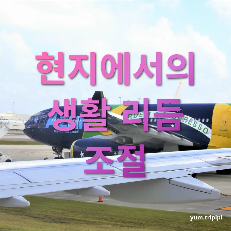 시차 적응 - 현지에서의 생활 리듬 조절 시차 적응 현지에서의 생활 리듬 조절 관련 이미지