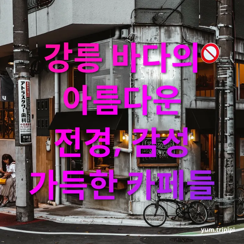 강릉 여행 카페 체험 - 강릉 바다의 아름다운 전경, 감성 가득한 카페들 강릉 여행 카페 체험 강릉 바다의 아름다운 전경, 감성 가득한 카페들 관련 이미지