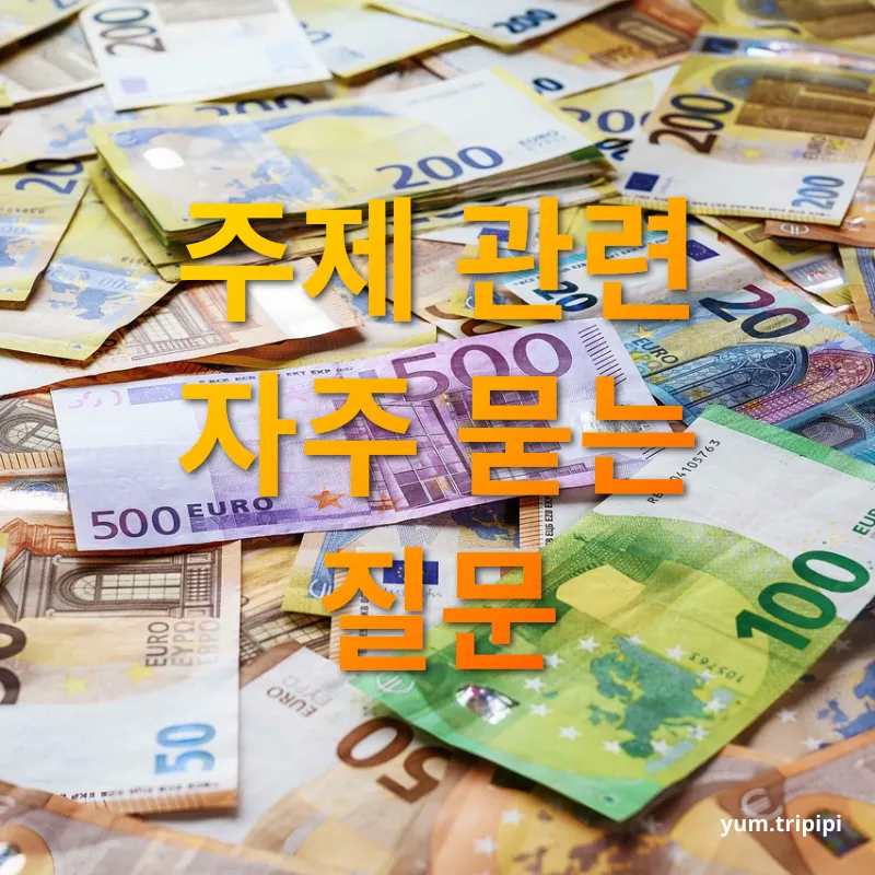 해외여행 환전 - 주제 관련 자주 묻는 질문 해외여행 환전 주제 관련 자주 묻는 질문 관련 이미지