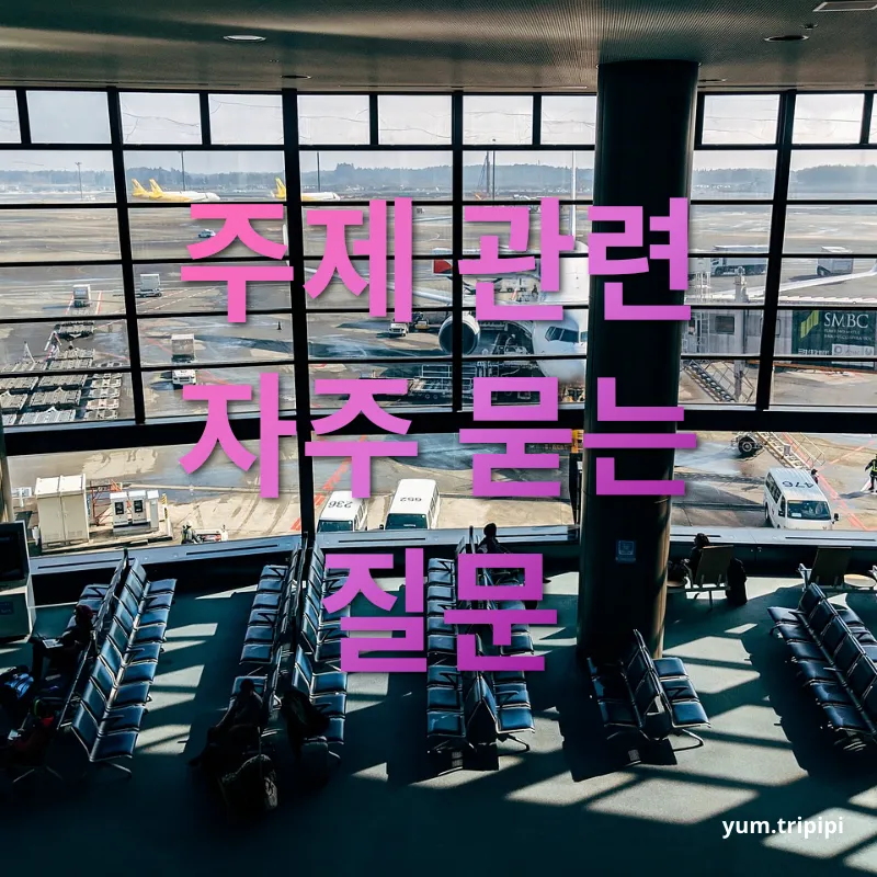 비행기표 싸게 사는 법 주제 관련 자주 묻는 질문 관련 이미지