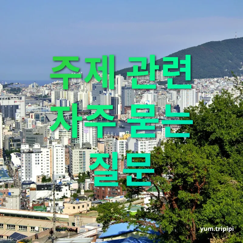 부산 여행 - 주제 관련 자주 묻는 질문 부산 여행 주제 관련 자주 묻는 질문 관련 이미지