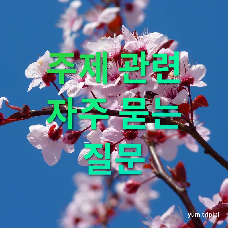 벚꽃 개화 시기 - 주제 관련 자주 묻는 질문 벚꽃 개화 시기 주제 관련 자주 묻는 질문 관련 이미지