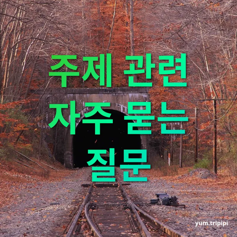 가을 기차여행 - 주제 관련 자주 묻는 질문 가을 기차여행 주제 관련 자주 묻는 질문 관련 이미지